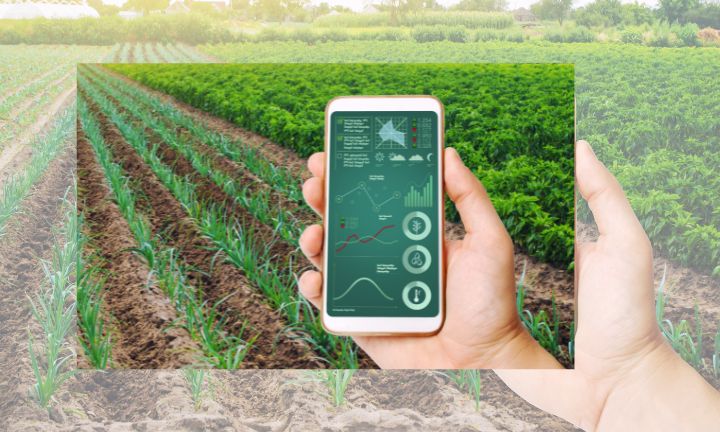 Como investir no agronegócio, o setor que valorizou mesmo na crise?