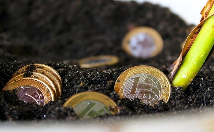 Descubra qual a melhor forma de empreender com 4 dicas especiais