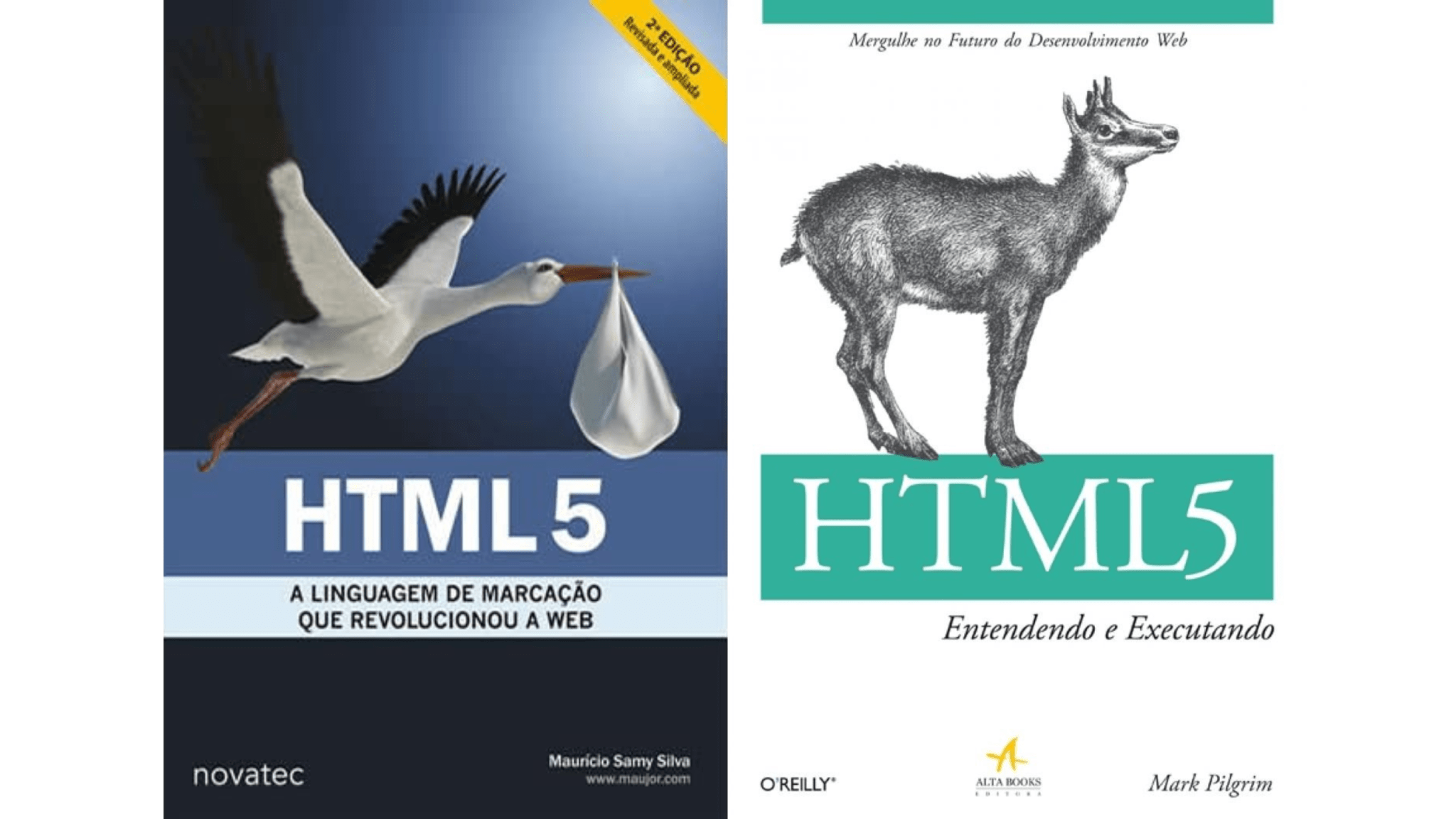 Tags HTML: entenda o que são e como funcionam na prática