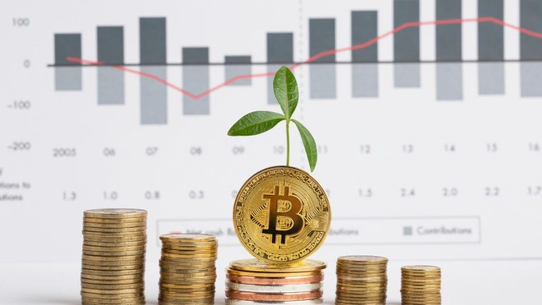 Criptomoedas sustentáveis: quais são e como funcionam?