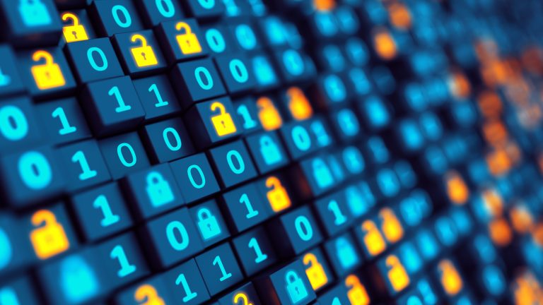Firewall: o que é, como funciona e como escolher o melhor para a sua empresa